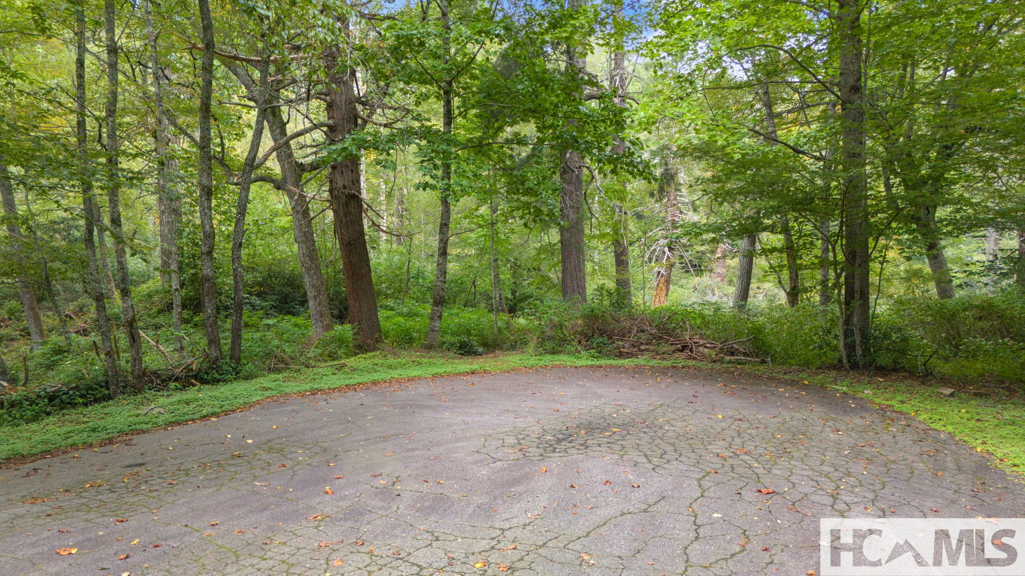 0 Sherwood Forest Road Highlands, NC 28741 - Photo 16 of 21 Gallery Image 16