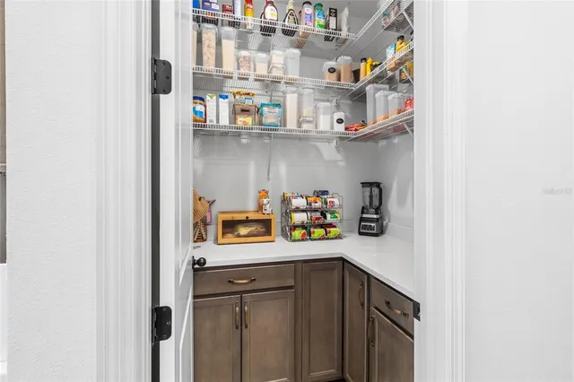 a bathroom with a shower and a toilet