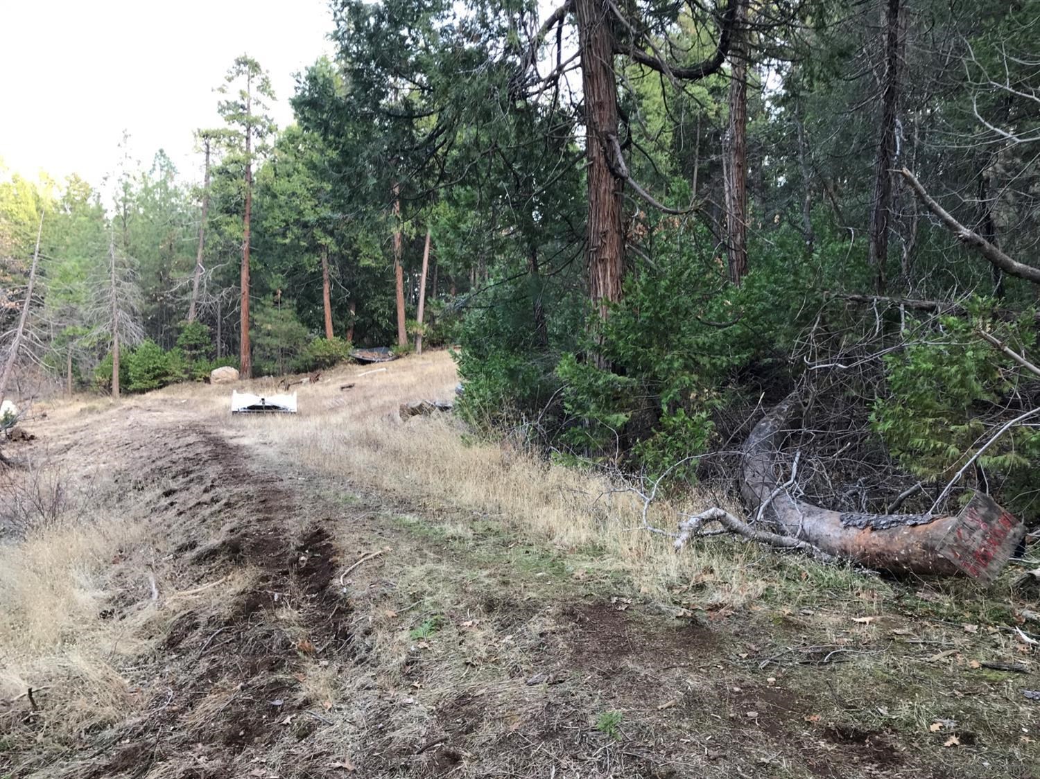 3647 Brice Station Road Murphys, CA 95247 - Photo 1 of 1 Gallery Image 1