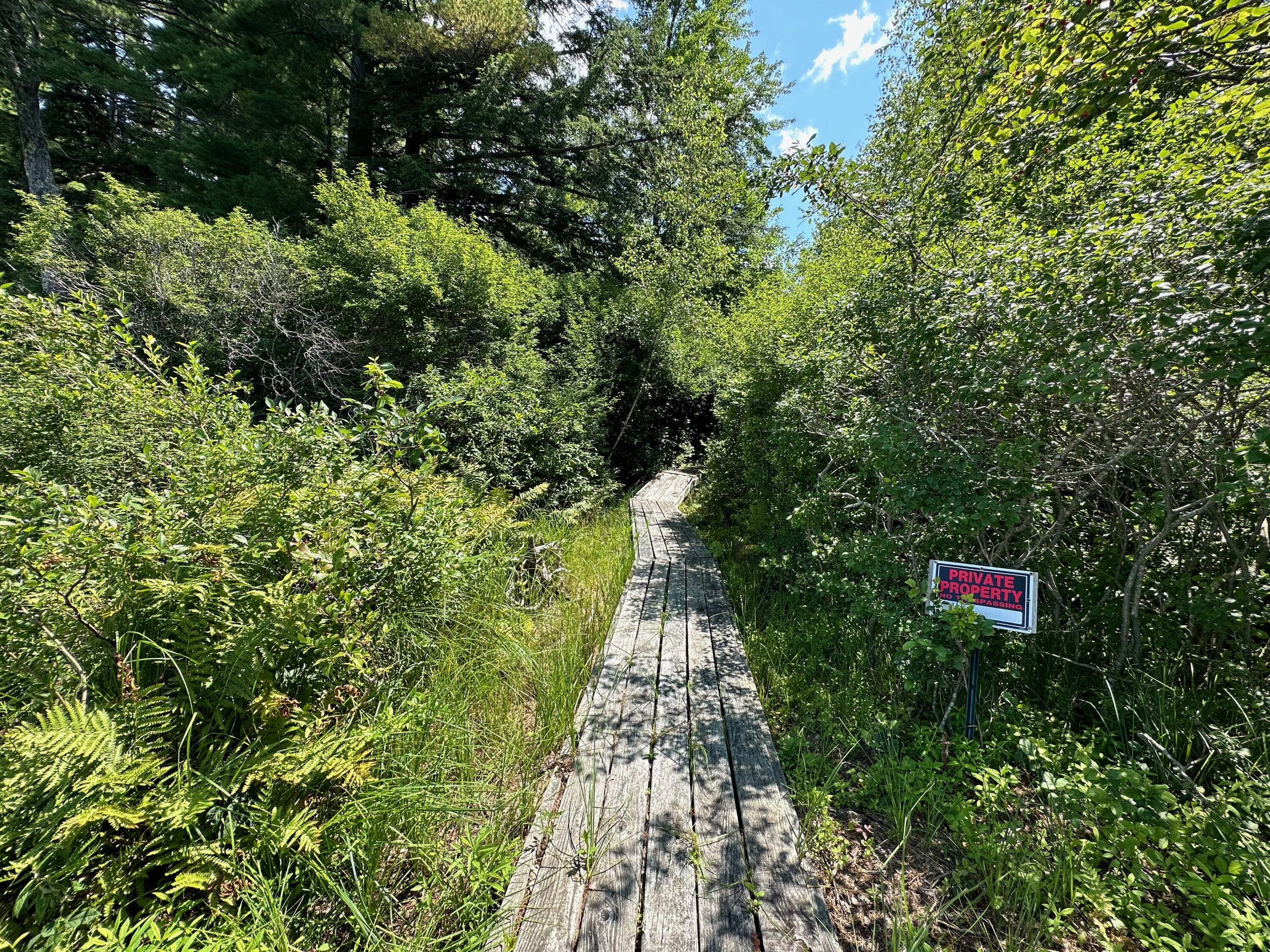 102 Chester Thwing Road Belgrade, ME 04917 - Photo 95 of 163 IMG_3284