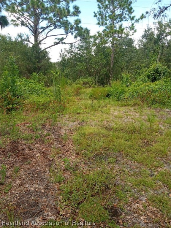 541 Andretti Road Venus, FL 33960 - Photo 11 of 22 Gallery Image 11