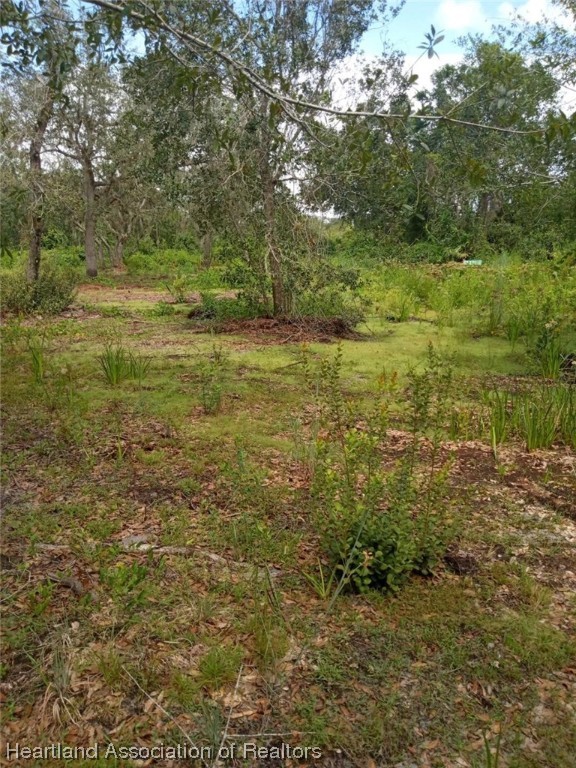 541 Andretti Road Venus, FL 33960 - Photo 12 of 22 Gallery Image 12