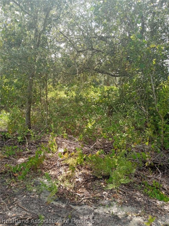541 Andretti Road Venus, FL 33960 - Photo 14 of 22 Gallery Image 14
