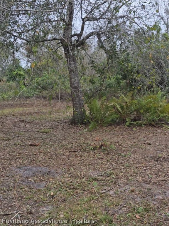 541 Andretti Road Venus, FL 33960 - Photo 17 of 22 Gallery Image 17
