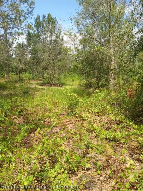 541 Andretti Road Venus, FL 33960 - Photo 4 of 22 Gallery Image 4