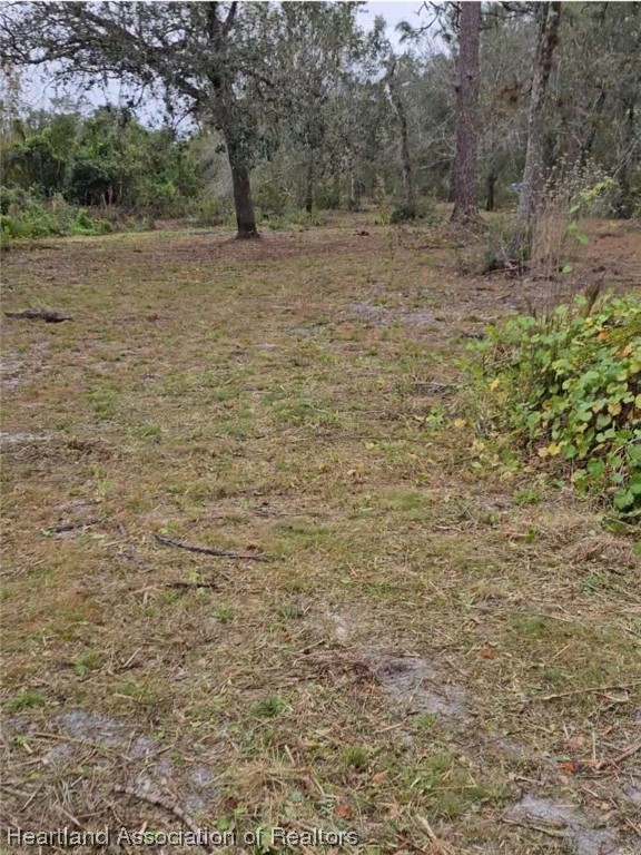 541 Andretti Road Venus, FL 33960 - Photo 7 of 22 Gallery Image 7