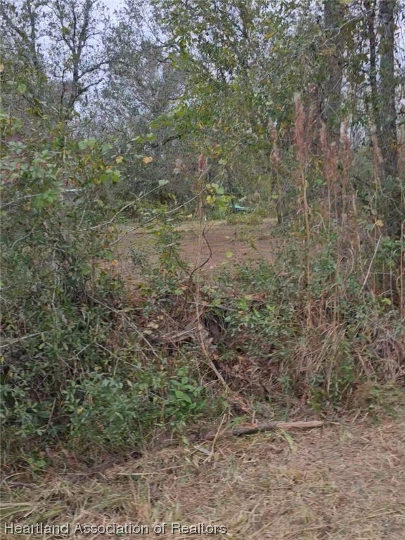 541 Andretti Road Venus, FL 33960 - Photo 8 of 22 Gallery Image 8