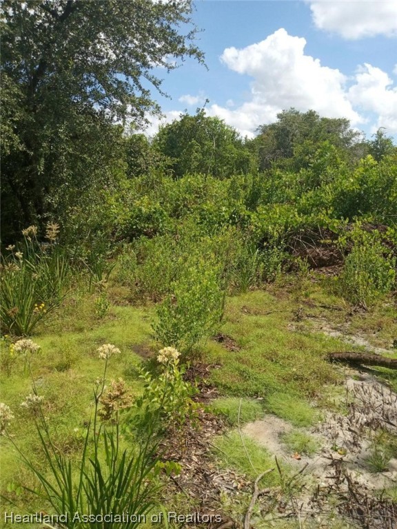 541 Andretti Road Venus, FL 33960 - Photo 10 of 22 Gallery Image 10
