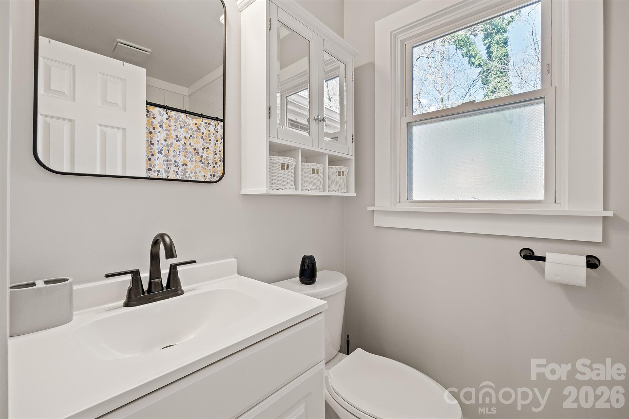 6264 Highway 221 Marion, NC 28752 - Photo 27 of 41 a bathroom with a toilet sink and mirror