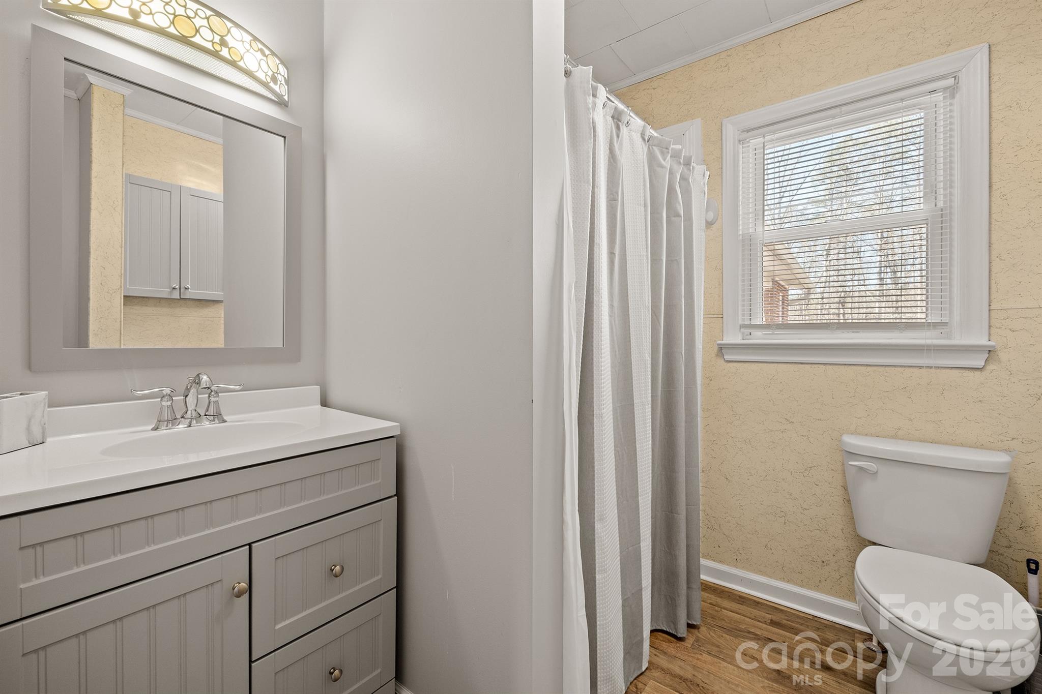 6264 Highway 221 Marion, NC 28752 - Photo 37 of 41 a bathroom with a toilet a sink a vanity and mirror