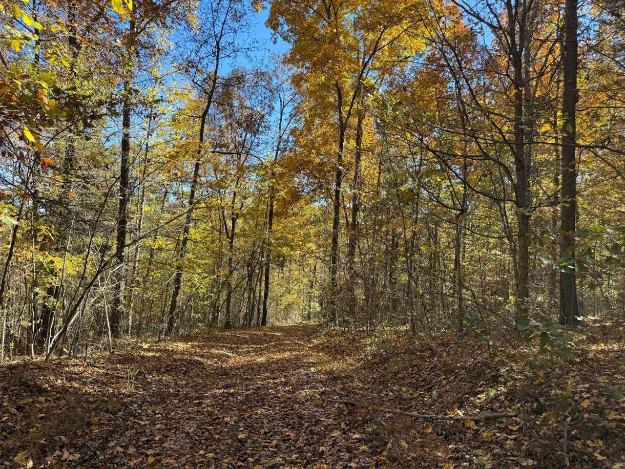 0 Blue Level Road Rockfield, KY 42274 - Photo 18 of 24 Gallery Image 18