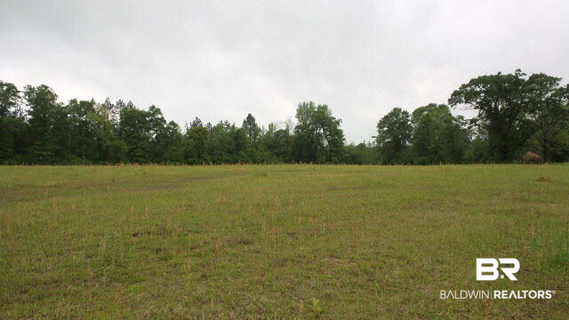 0 U.S. Highway 31 Perdido, AL 36562 - Photo 1 of 1 Gallery Image 1