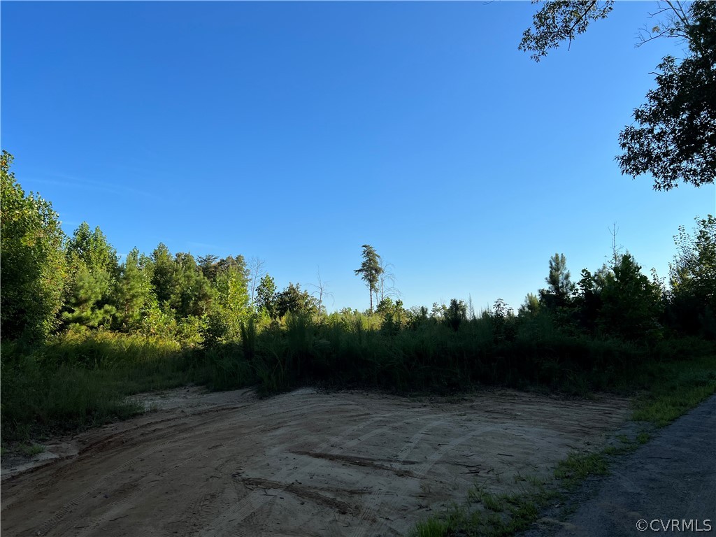 0 Carpenters Rst Road Caret, VA 22436 - Photo 6 of 8 Gallery Image 6