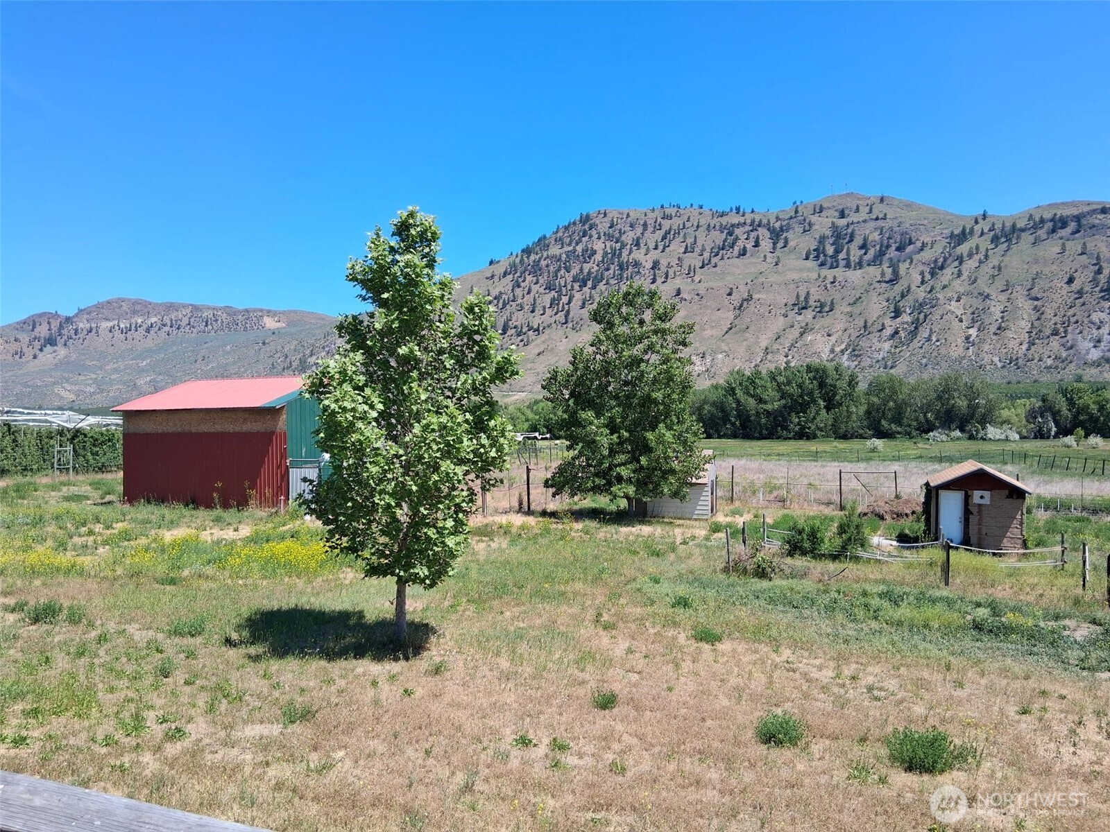 17 Streeter Bosch Road Tonasket, WA 98855 - Photo 13 of 20