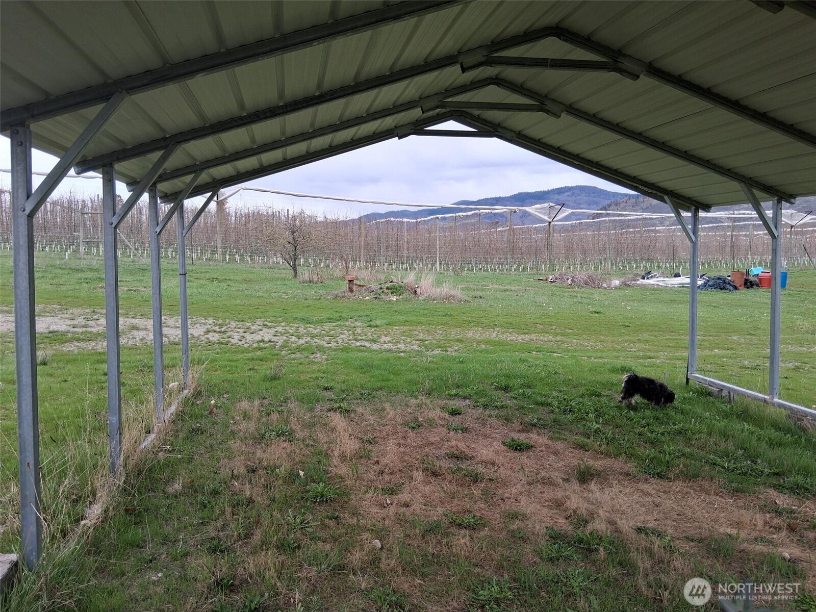 17 Streeter Bosch Road Tonasket, WA 98855 - Photo 6 of 20