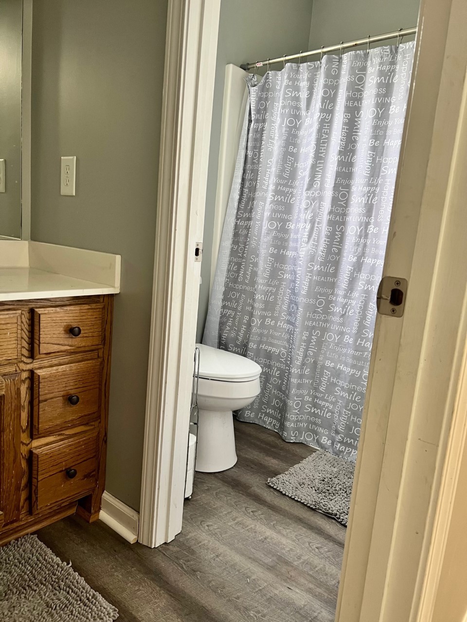 1004 Roland Court Cottontown, TN 37048 - Photo 14 of 22 a bathroom with a toilet and a shower curtain