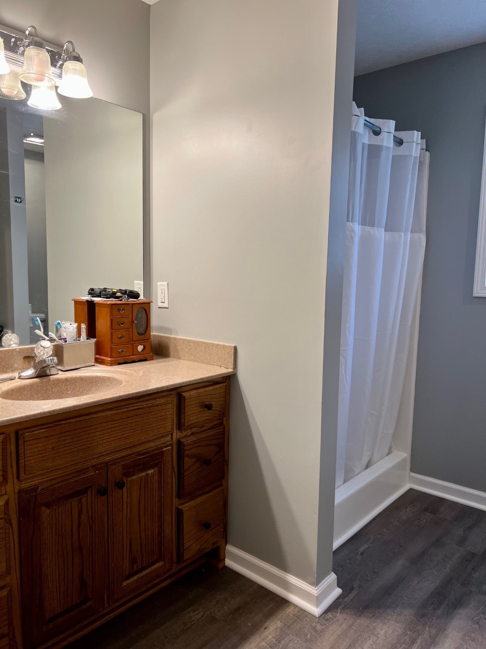 1004 Roland Court Cottontown, TN 37048 - Photo 10 of 22 a bathroom with a sink and a mirror