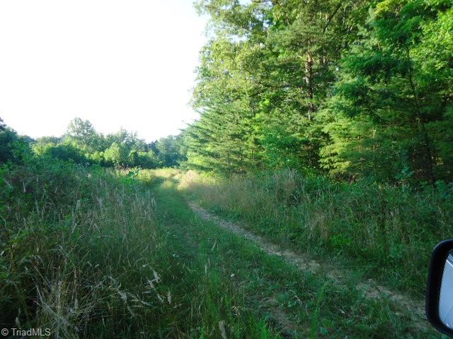37-ac Appx Amostown Road Sandy Ridge, NC 27046 - Photo 1 of 10