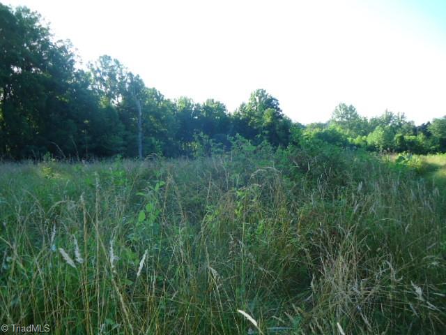 37-ac Appx Amostown Road Sandy Ridge, NC 27046 - Photo 2 of 10