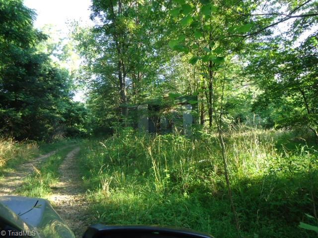 37-ac Appx Amostown Road Sandy Ridge, NC 27046 - Photo 3 of 10