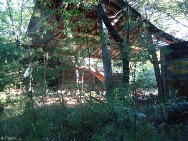 37-ac Appx Amostown Road Sandy Ridge, NC 27046 - Photo 4 of 10