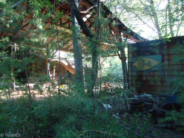37-ac Appx Amostown Road Sandy Ridge, NC 27046 - Photo 5 of 10