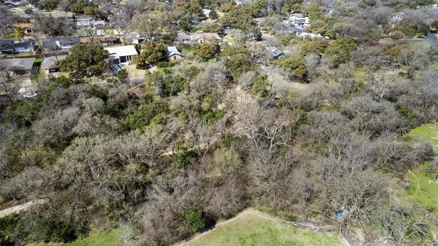a view of a forest with a street