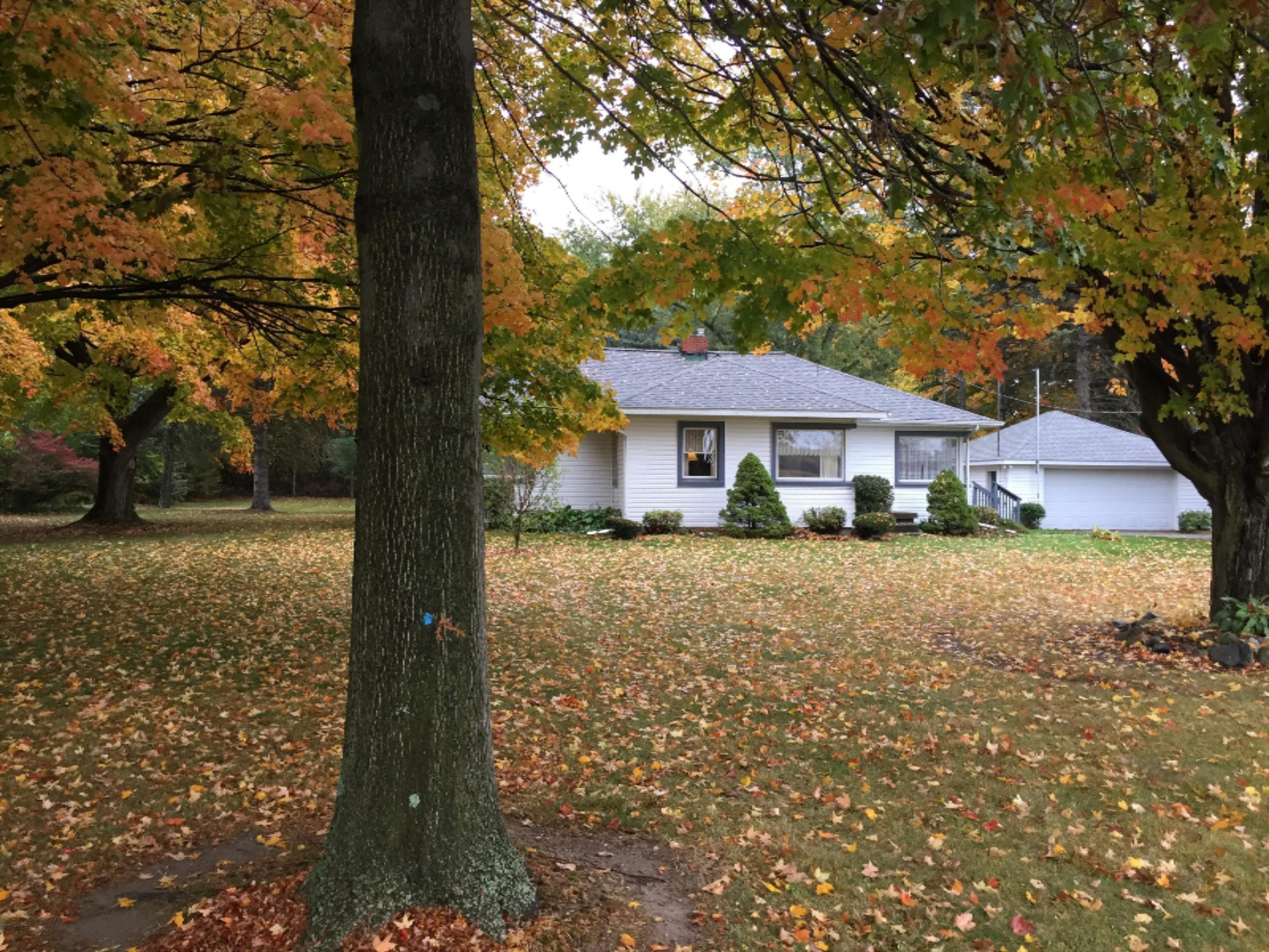 1177 North Marshall Road Tekonsha, MI 49092 - Photo 29 of 30 CF34A48D-874F-4213-969A-B4DA46837C93