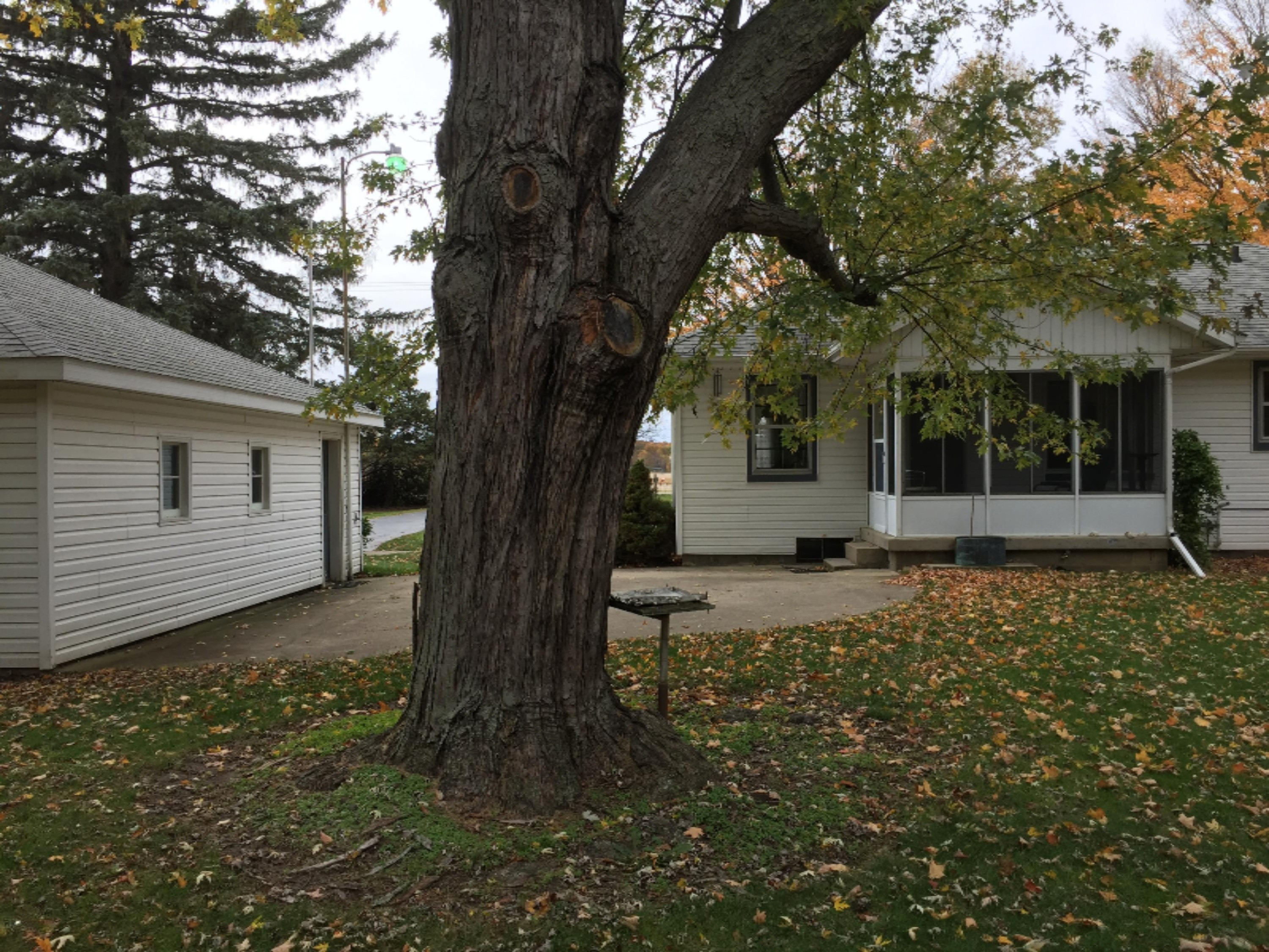 1177 North Marshall Road Tekonsha, MI 49092 - Photo 4 of 30 F63CE5A6-5121-4133-B917-2FF0E08307C3