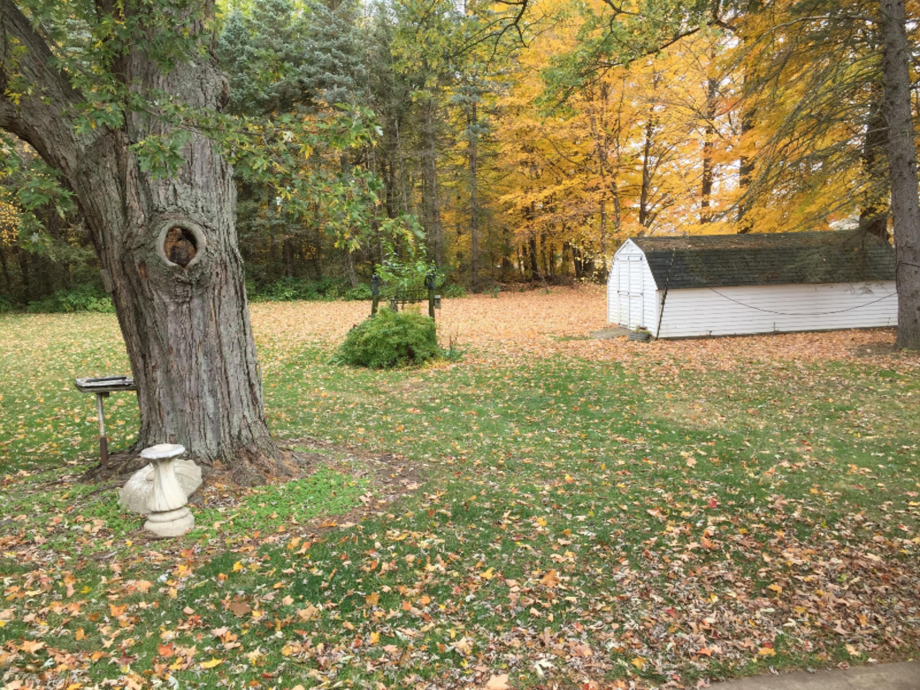 1177 North Marshall Road Tekonsha, MI 49092 - Photo 5 of 30 4835D046-5715-4EE0-9B1A-4D26452C91BD
