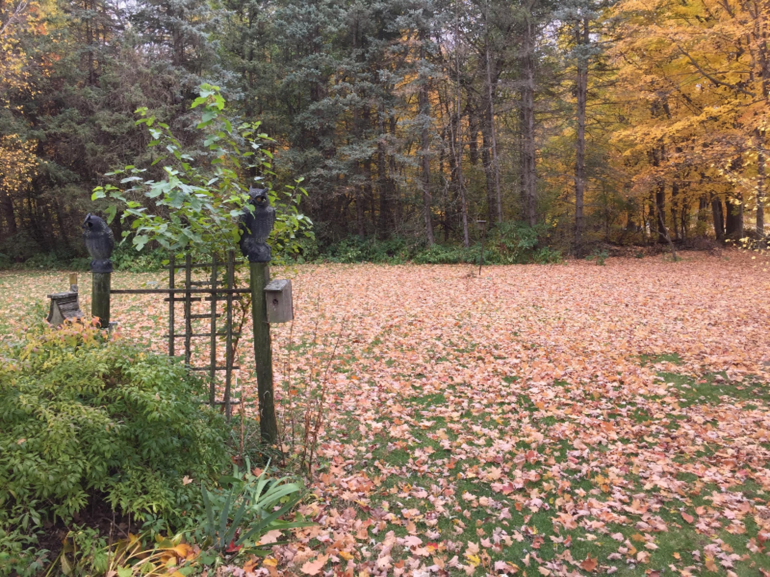 1177 North Marshall Road Tekonsha, MI 49092 - Photo 6 of 30 55EF2678-9D5E-45E4-9B4F-731AAE112DFD