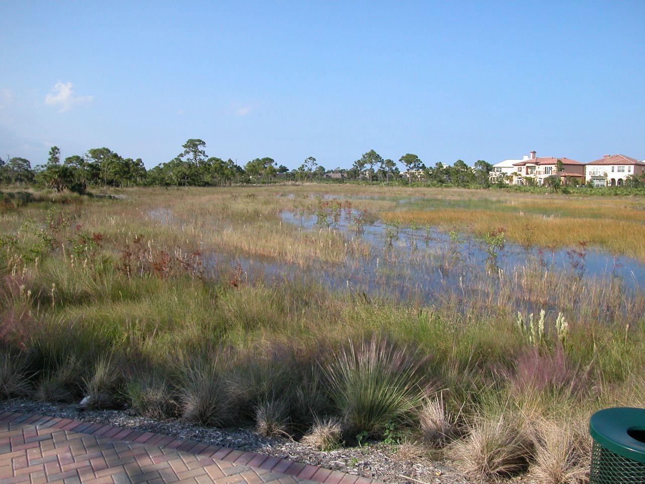 140 West Bay Cedar Circle Jupiter, FL 33458 - Photo 24 of 36 Wetlands and Preserve