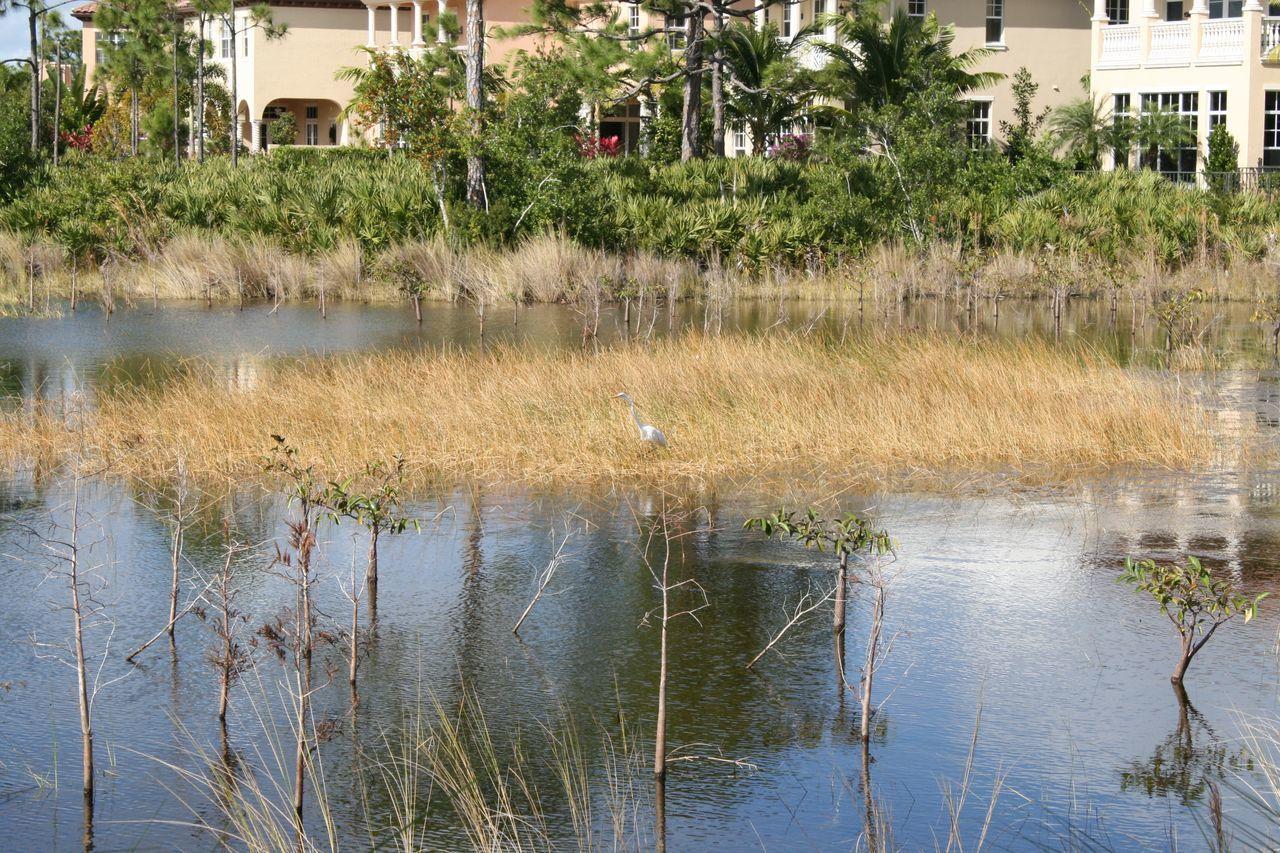 140 West Bay Cedar Circle Jupiter, FL 33458 - Photo 33 of 36 Wetland Preserve