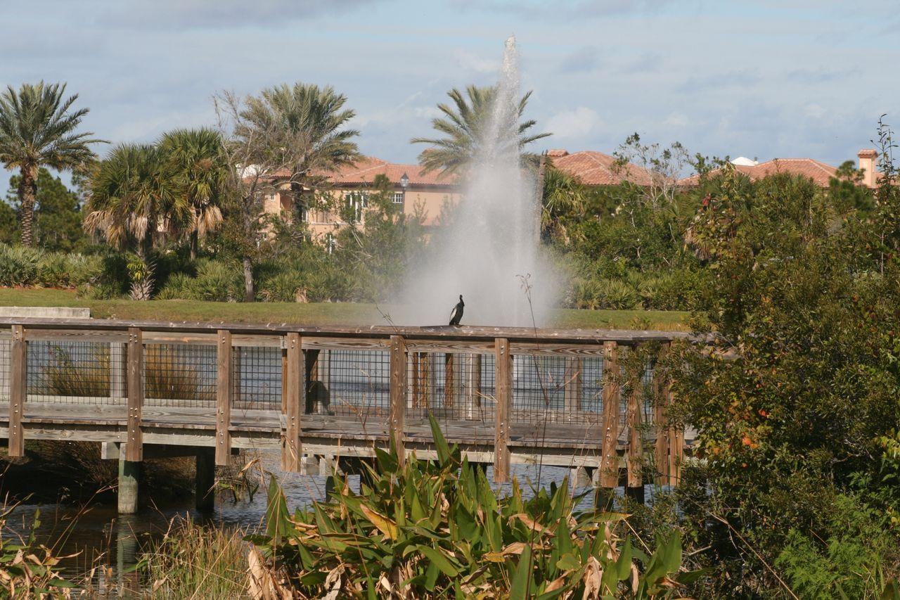 140 West Bay Cedar Circle Jupiter, FL 33458 - Photo 35 of 36 Wetland Preserve