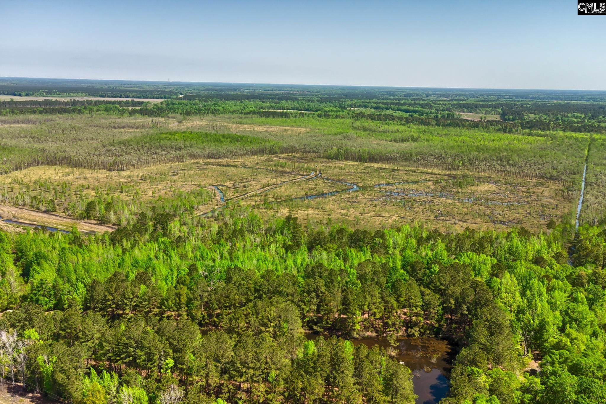 Tbd Alligator Road Olar, SC 29843 - Photo 15 of 24