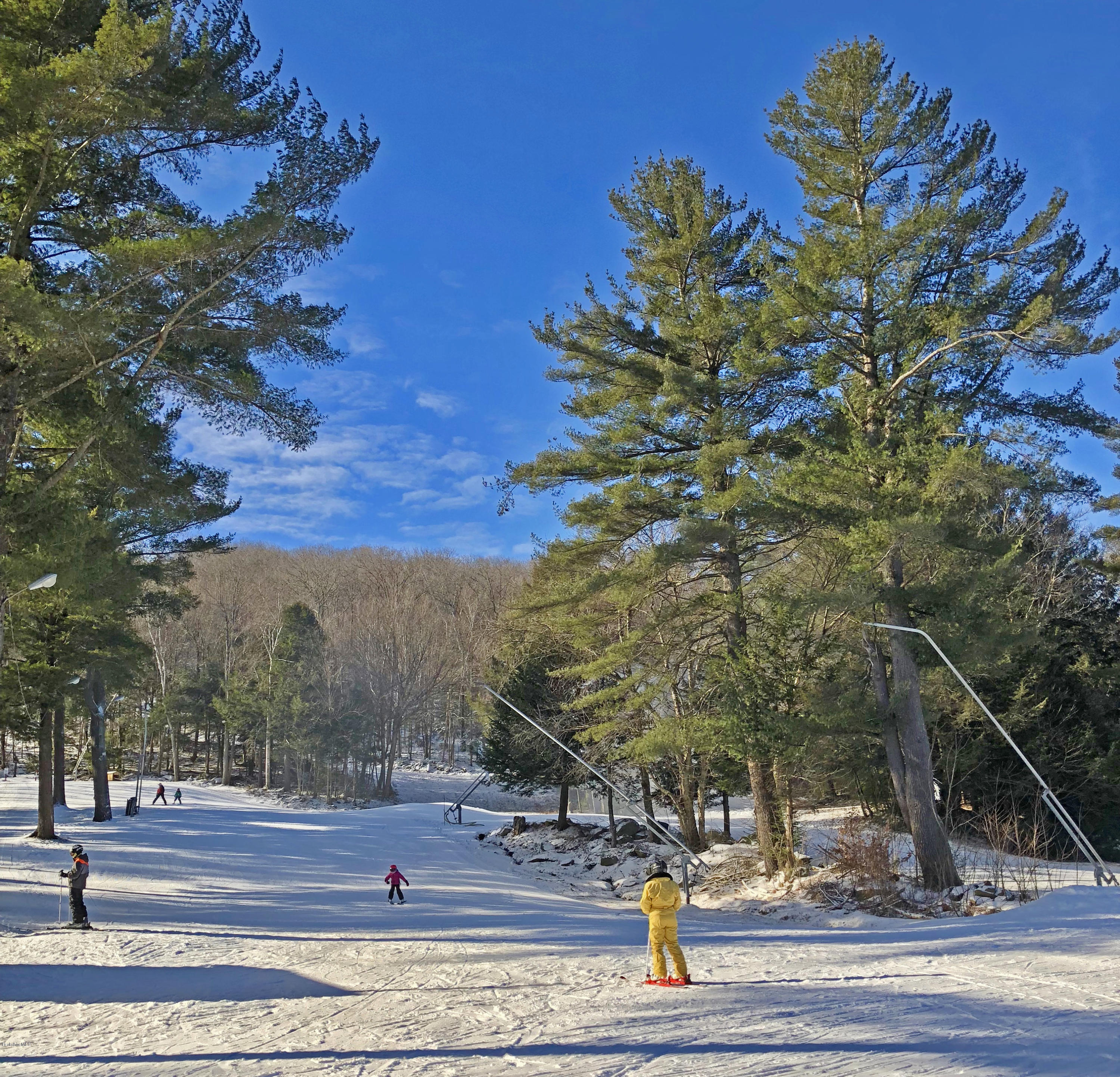 263 Harrington Road Otis, MA 01253 - Photo 33 of 33