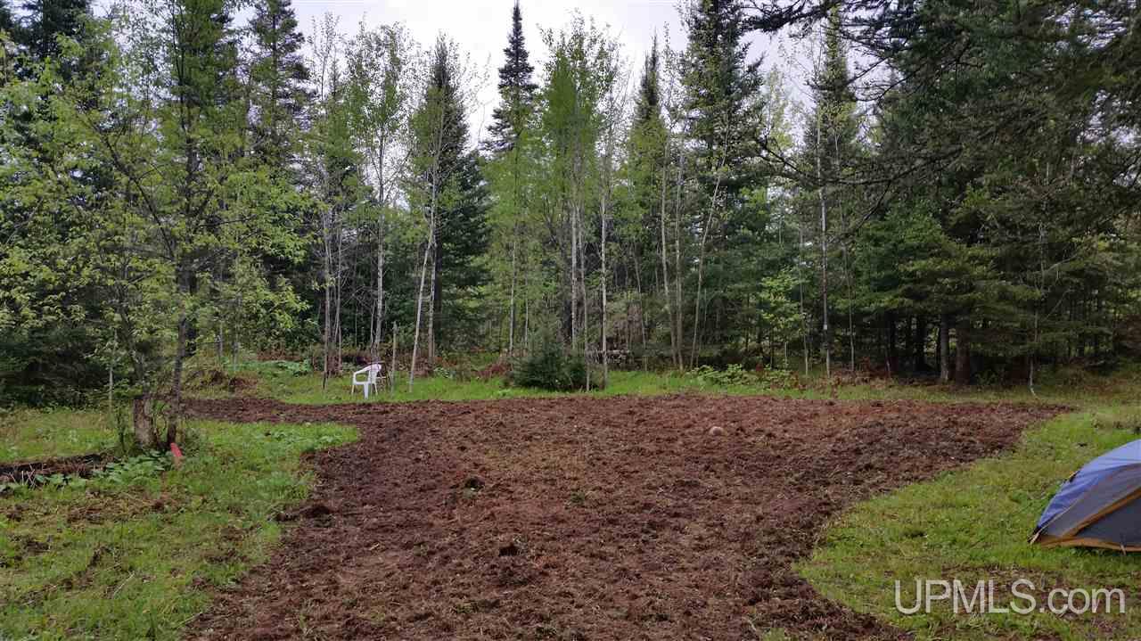 40-ac Cable Lake Road Crystal Falls, MI 49920 - Photo 12 of 16 Gallery Image 12