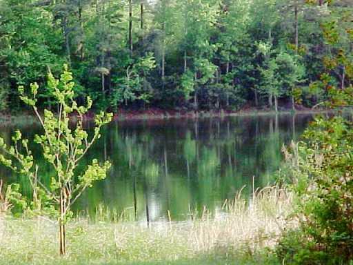 38192 West Yates Road Franklinton, LA 70438 - Photo 4 of 4 Gallery Image 4
