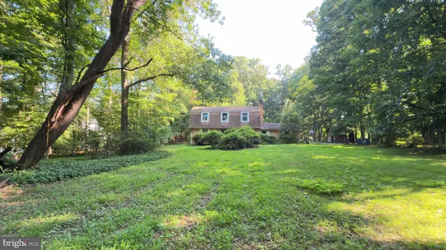 a view of a big yard