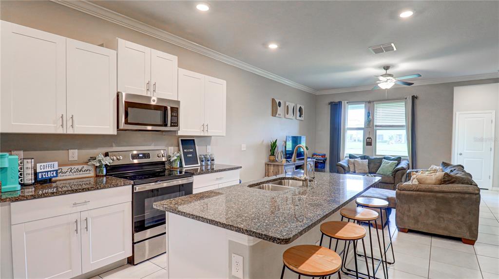 31632 Blue Passing Loop Wesley Chapel, FL 33545 - Photo 9 of 48 a kitchen with stainless steel appliances granite countertop a stove a sink a microwave a dining table and chairs