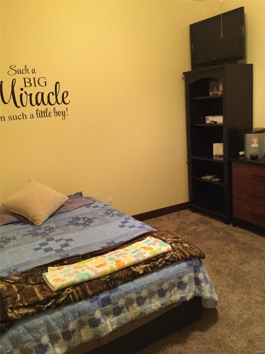 1425 Reno Road Greenville, IL 62246 - Photo 15 of 23