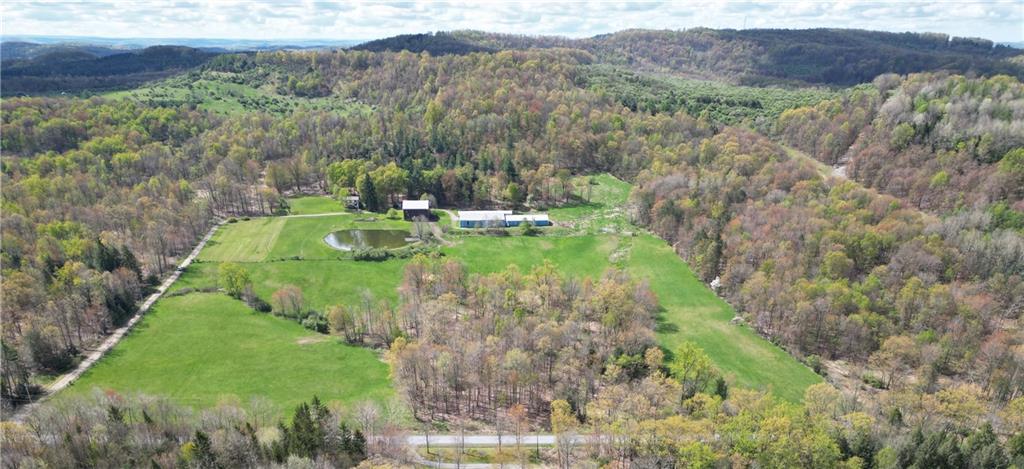 1722 Nashville Road Rochester Mills, PA 15771 - Photo 1 of 25 a view of a lush green forest with trees and some houses
