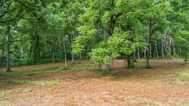a fire hydrant in the middle of a field