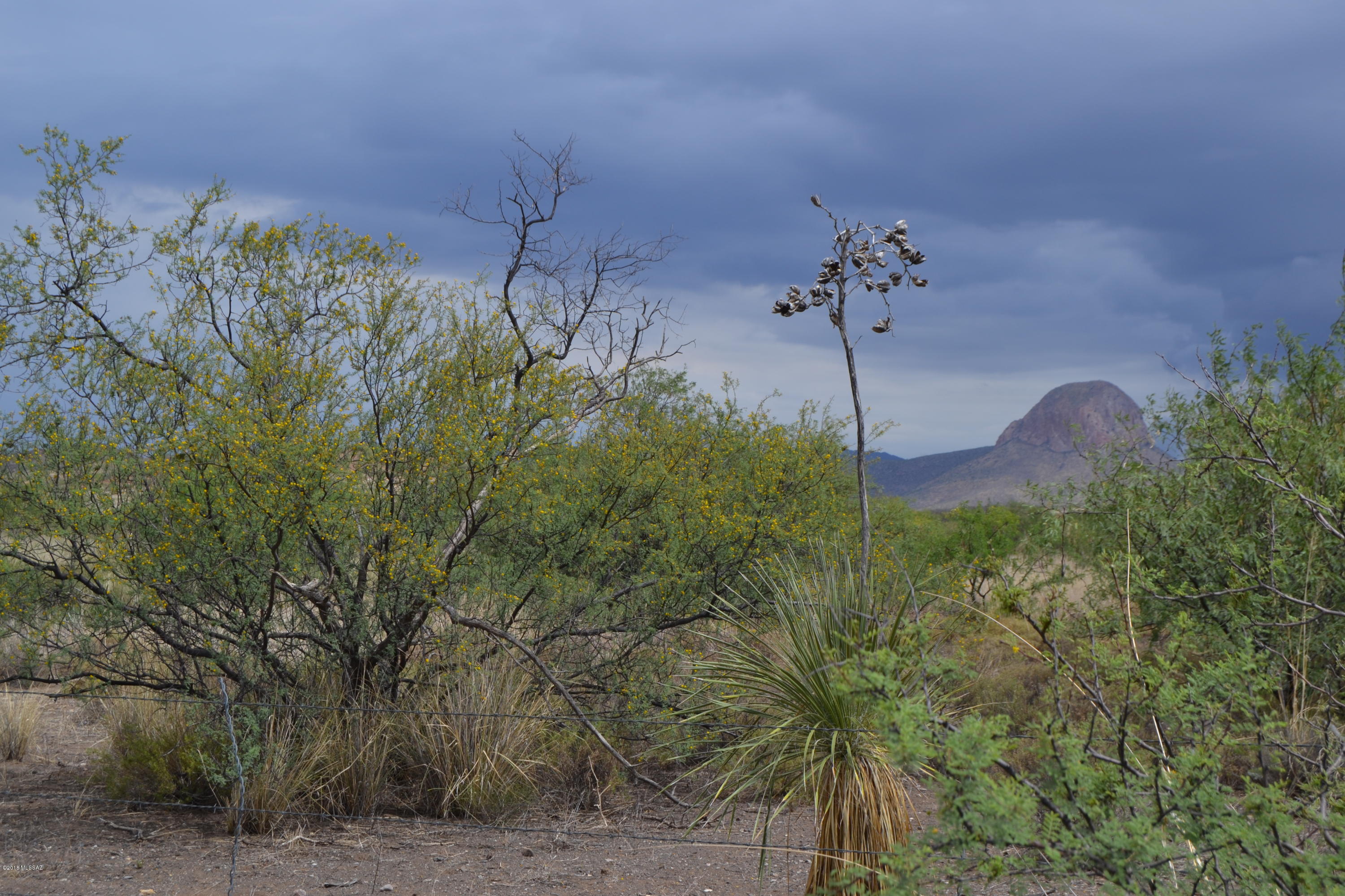 Tbd Indian Creek Road Douglas, AZ 85607 - Photo 2 of 21