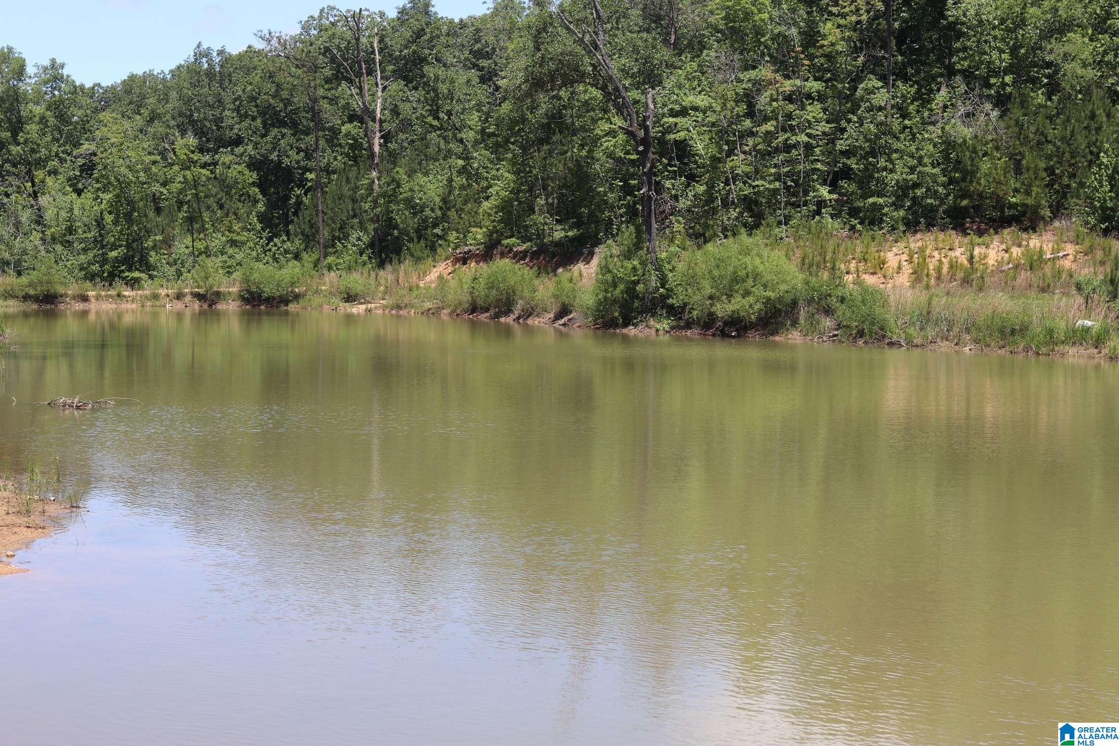 2930 Shocco Springs Road Talladega, AL 35160 - Photo 59 of 93