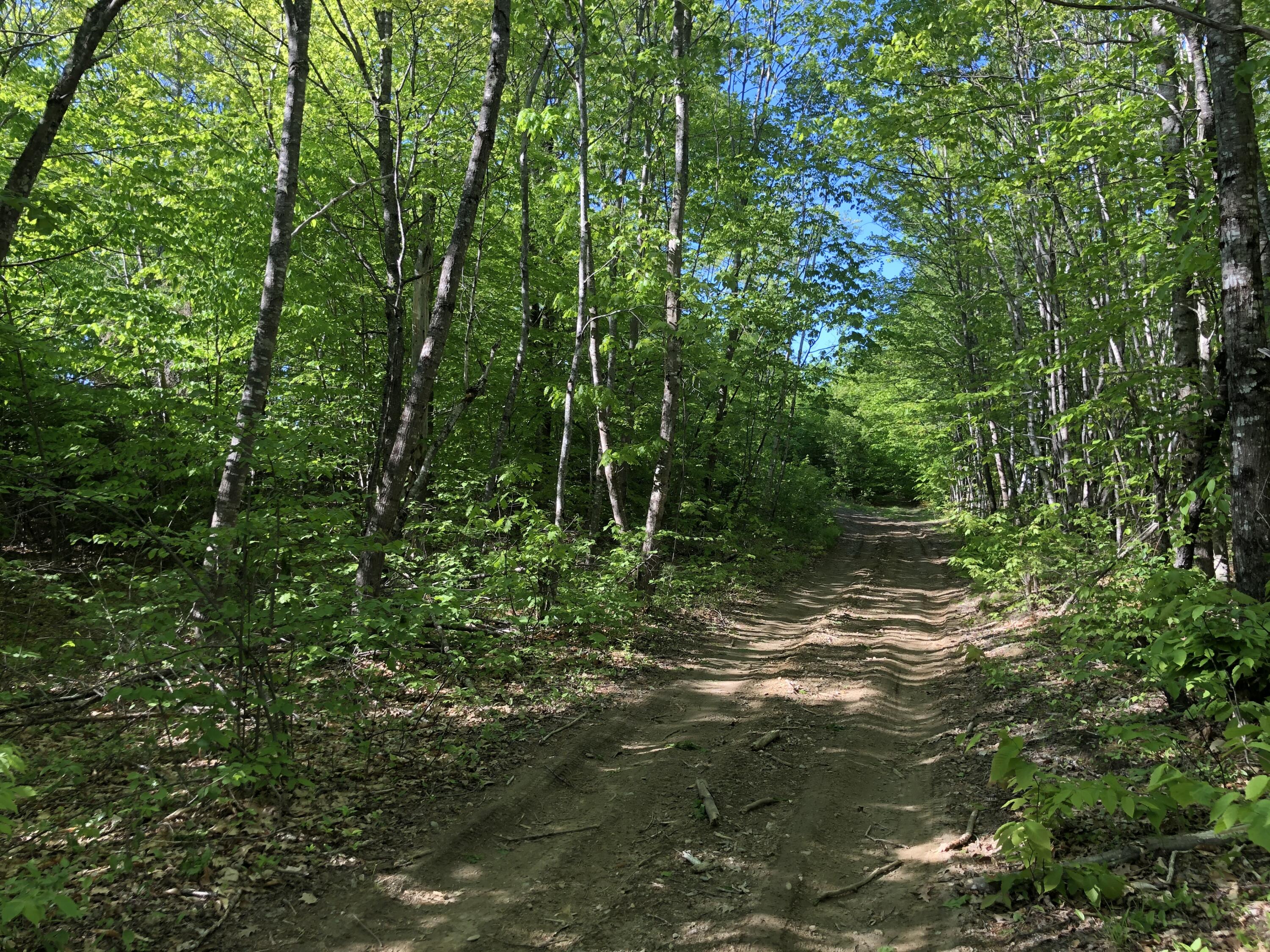 370 Mathews Road Palermo, ME 04354 - Photo 2 of 3 IMG_5323