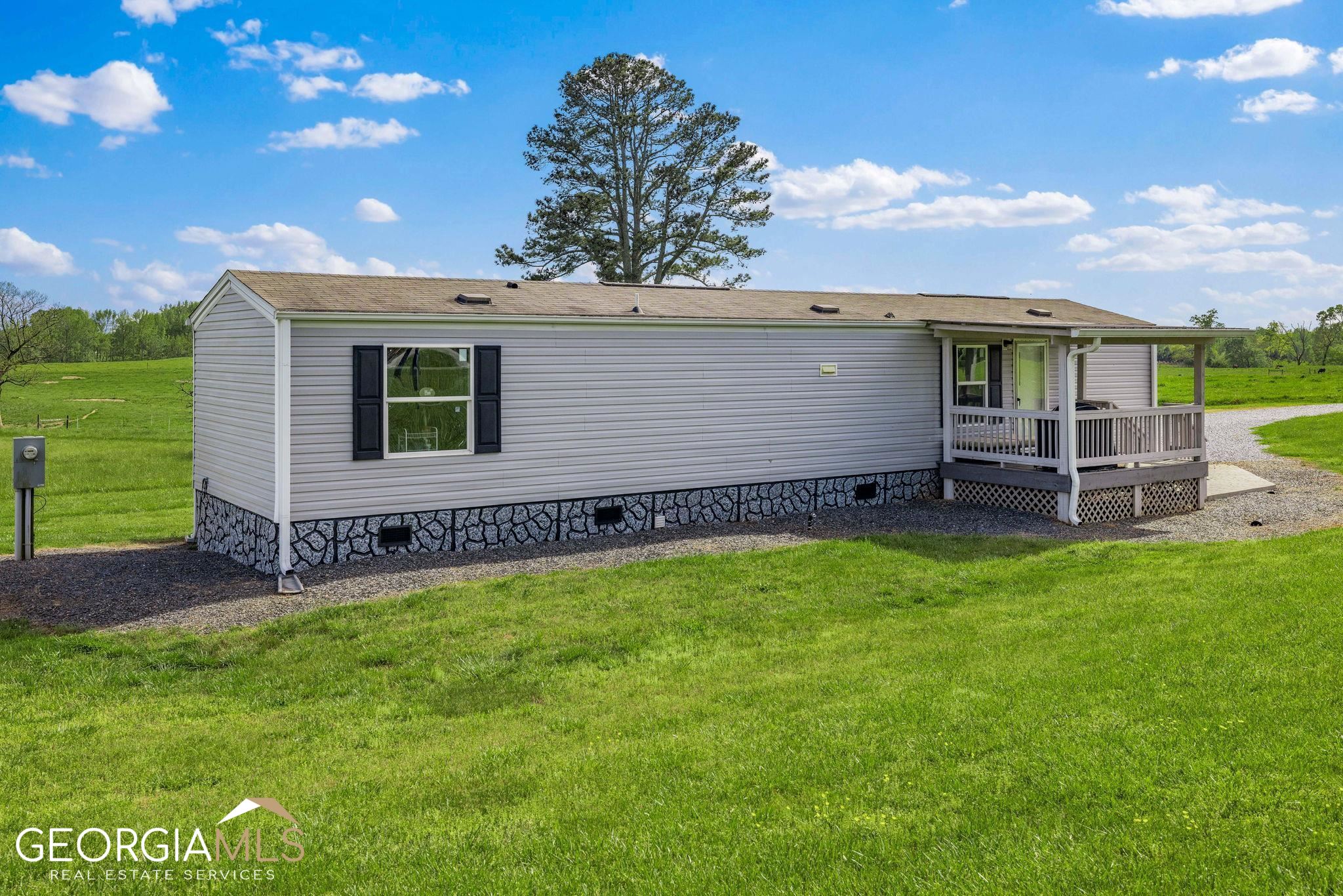 a view of a backyard with plants and a garden