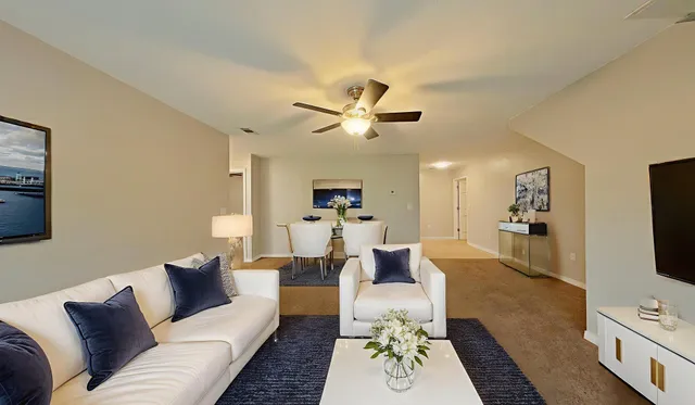 a living room with furniture a flat screen tv and a fireplace