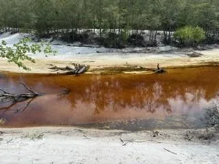a view of swimming pool with a yard
