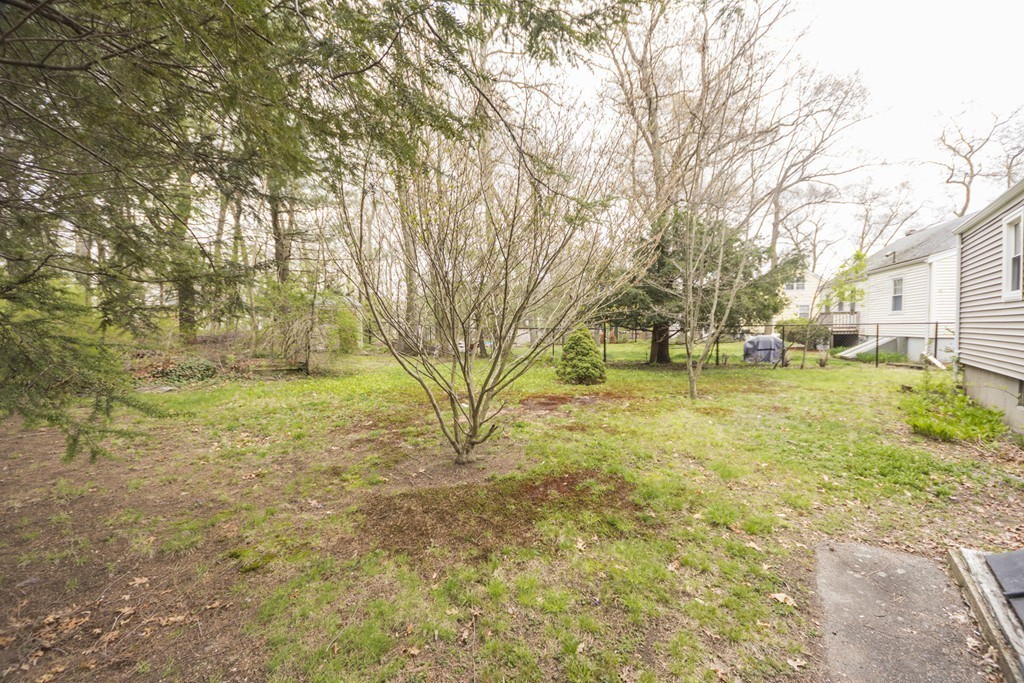 85 Russ Street Randolph, MA 02368 - Photo 15 of 16 a view of yard with trees